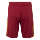 Mens Spain Away Shorts FIFA World Cup 2026