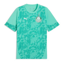 Mens Palmeiras Goalkeeper Green Jersey 2026/27