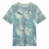 Mens Palmeiras Short Training Grey Jersey 2026/27