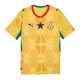 Mens Ghana Away Jersey FIFA World Cup 2026
