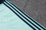 Mens Germany Training Suit Light Green 2026