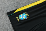 Mens Brazil Short Training Suit Jordan Green 2026