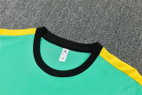 Mens Brazil Short Training Suit Jordan Green 2026