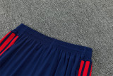 Mens Olympique Lyonnais Training Suit Royal 2026/27