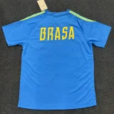 Mens Brazil Short Training Blue 2026/27