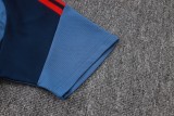 Mens Bayern Munich Polo Shirt Royal 2026/27