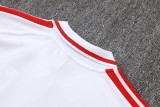 Mens Internacional Polo Shirt White 2026/27