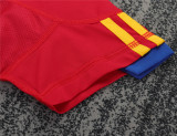 Kids Retro Spain Home Jersey 2010