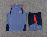 Mens Bayern Munich Singlet Suit Greyish Blue 2026/27