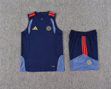 Mens Bayern Munich Singlet Suit Royal 2026/27