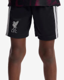 Mens Liverpool Third Shorts 2026/27