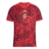 Mens Internacional Third Jersey 2026/27