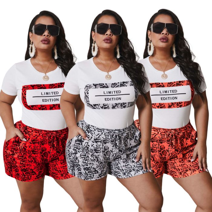 Plus Size Printed Fashion Two Piece Outfit