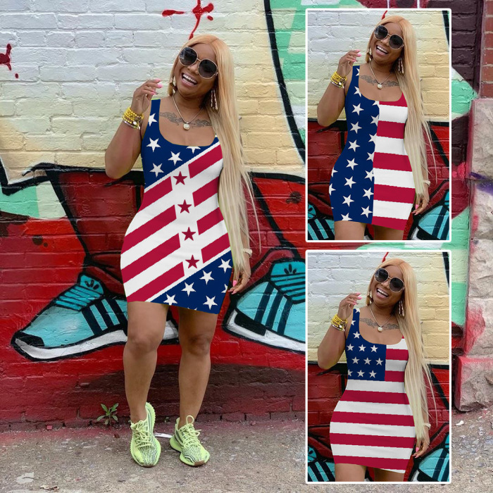 American Flag Print Sleeveless Dress