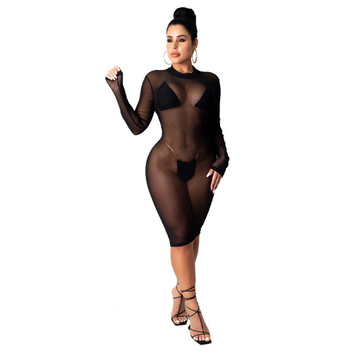 Round Neck And Long Sleeve Mesh Causal Dress