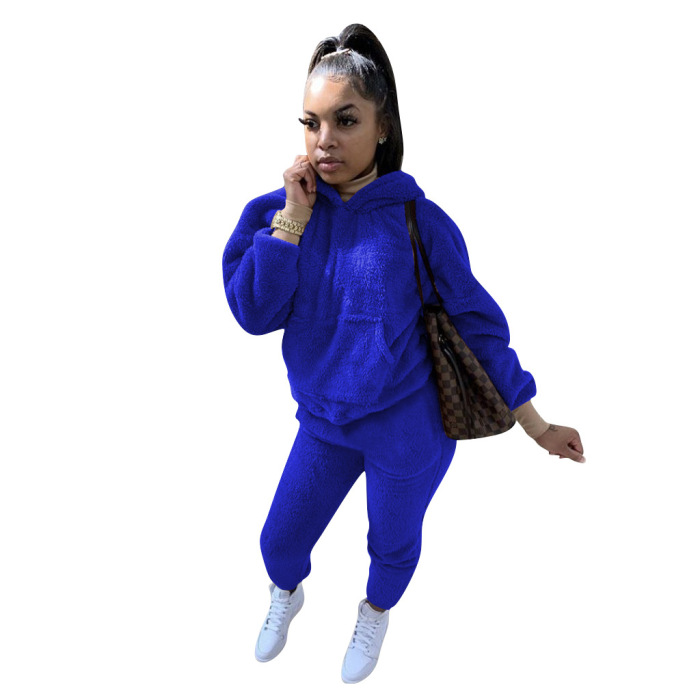 Solid Color Plush Hoodie Two pieces Outfit
