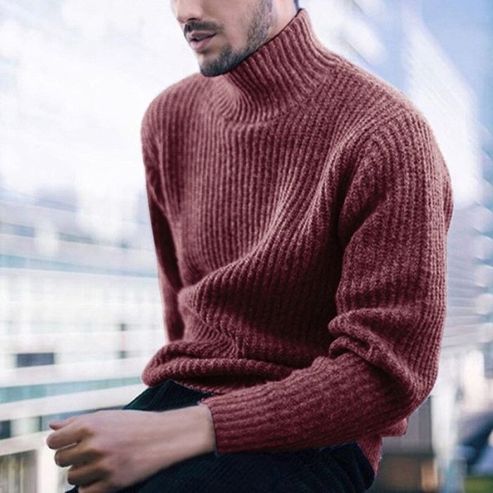 Turtleneck Sweater Men 2021 Mens Pullover Knitwear Pull Homme Turtle Neck Knitted Male Sweaters Casual Solid Color Autumn Jumper
