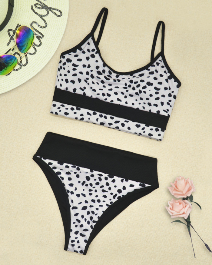Woman's Leopard Colorblock High Waist Two-piece Swimsuit White Black S-L