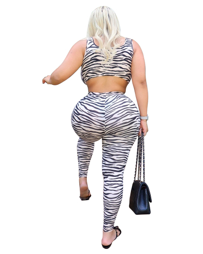 Sleeveless Women Zebra Printed Two Piece Pant Set S-XXL
