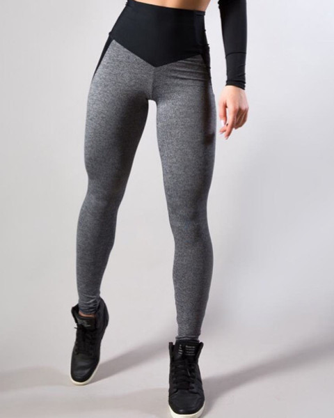 gym leggings seamless