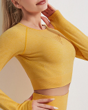 Yellow Long-Sleeved Top