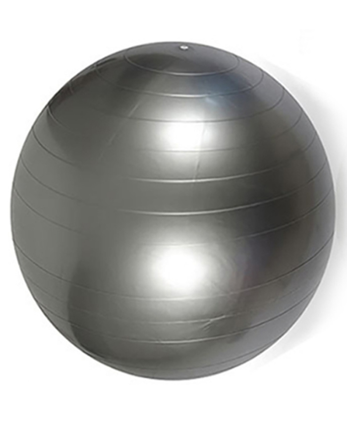Pvc Yoga Ball (With Pump)