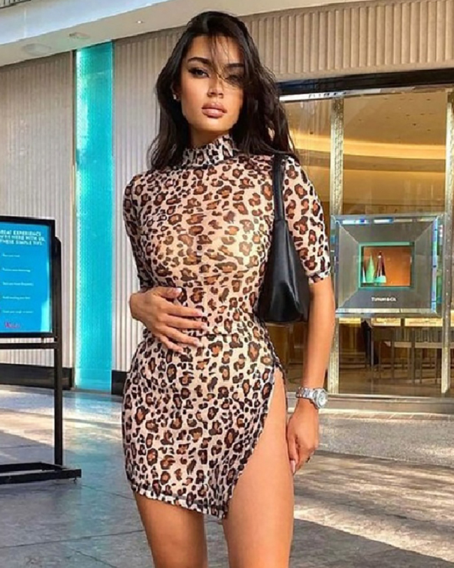 Women's Spring Summer Leopard-print Slim Dress With Standing Collar Short Sleeves Split Hips