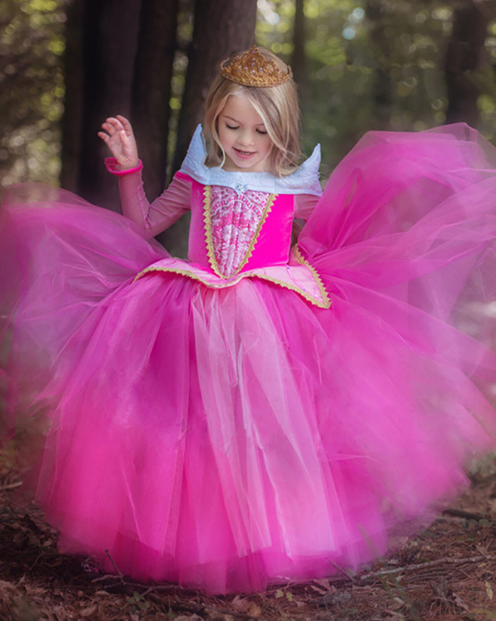 Arlo Princess Sleeping Beauty Frozen Girls Dress Mesh Long Sleeve Puffy Performance Costume