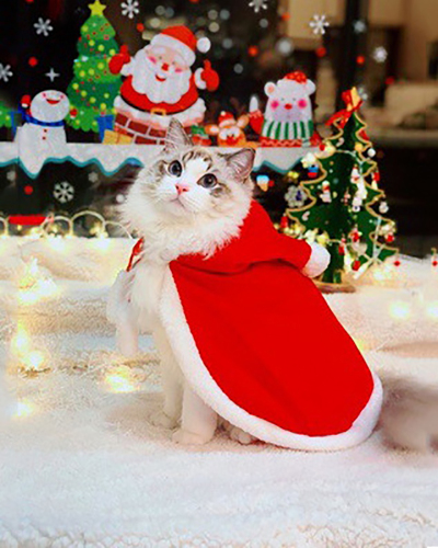New Pet Dog Christmas Clothing costumes Cat Cloak Hooded Style Keep Warm lovely Cat Dog Clothing for Autumn And Winter wear coat