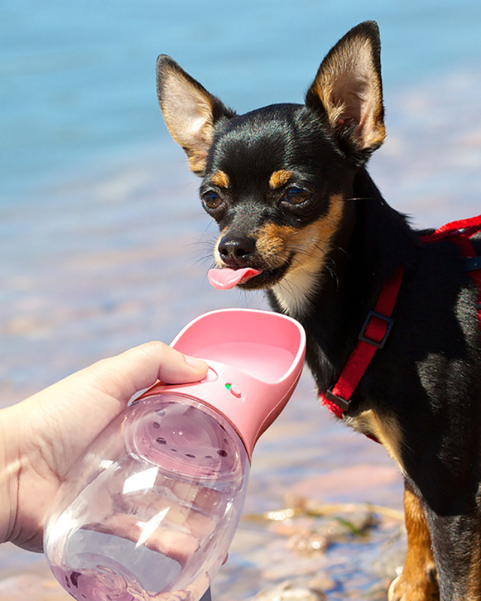 Pet Cup Outdoor Water Cups Outdoor Portable Travel Water Bottles Dog Drinking Fountains Cat Water Bottles Pet Supplies Multi Color