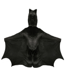 Bat Top