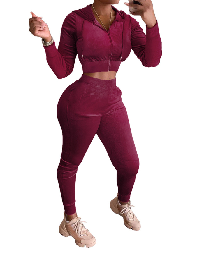Women Long Sleeve Hoodies Crop Tops Slim Pants Sets Two Pieces Outfit Pink Gray Black Brown Blue Green Red Sky Blue S-2XL