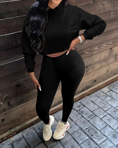 Popular Women Long Sleeve Solid Color Crop Tops Pants Sets Two Pieces Outfit Purple Gray Black S-XL