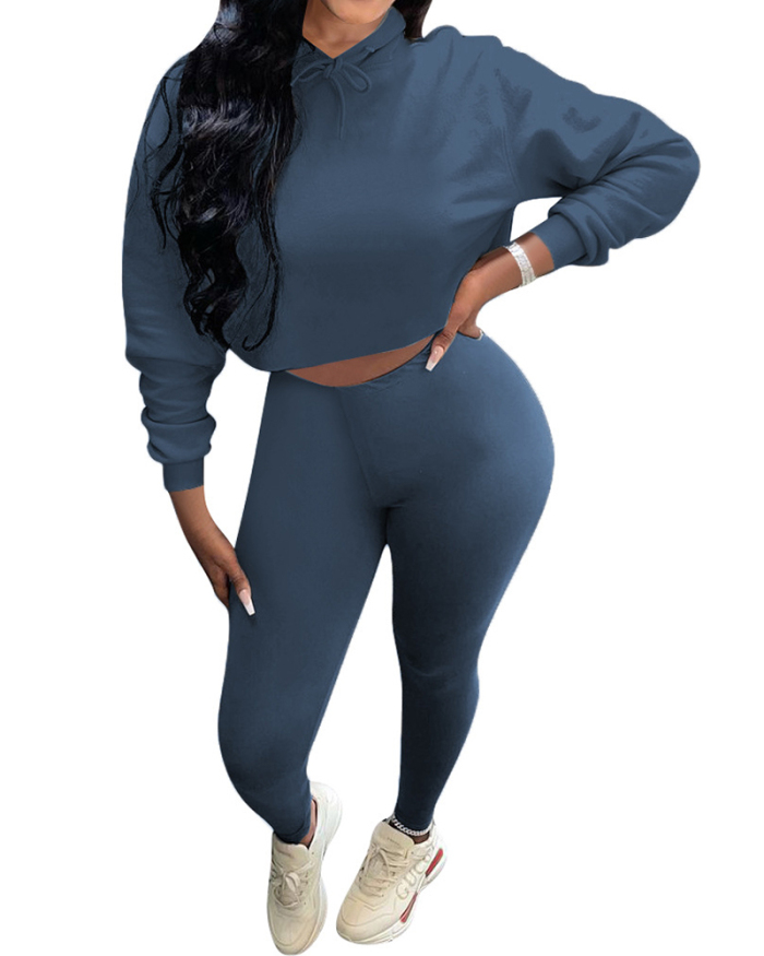 Popular Women Long Sleeve Solid Color Crop Tops Pants Sets Two Pieces Outfit Purple Gray Black S-XL