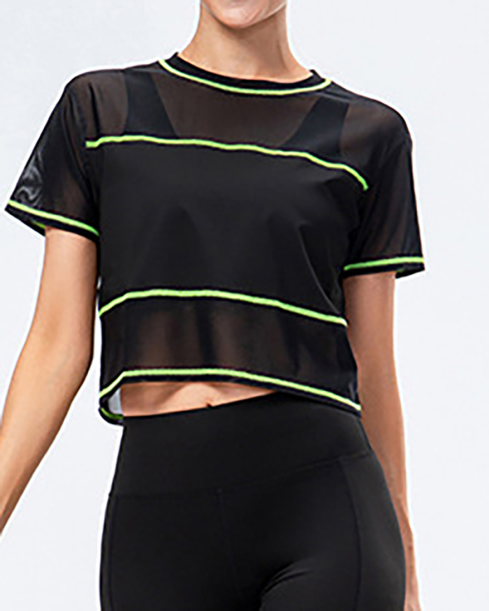 Women Loose Mesh Short Sleeve Stripe Sports Top Quick Dry Top Yoga T-Shirts Black Green Orange S-XL