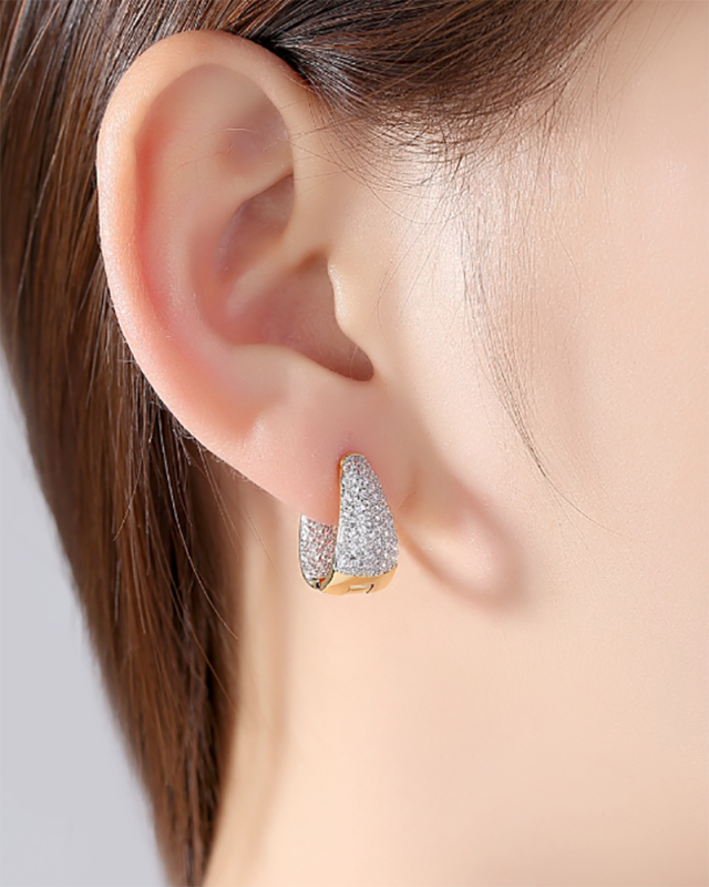 18k Fashion Gold-Plated Earrings