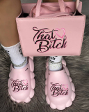 Shoes Bag Pink TB