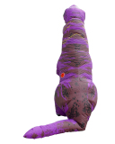 Purple dragon adult