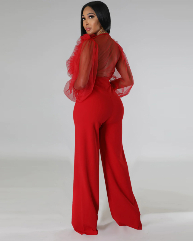 V-neck Long Sleeve Mesh Sexy Ladies Jumpsuit Hot Sale S-2XL