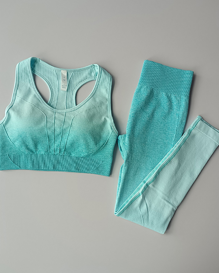 Seamless Knit Fitness Gradation Sport High Waist Quick Dry Pants Set Yoga Two Piece S-L