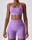 2 Bra Shorts Purple
