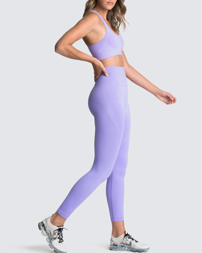 Hot Sale Seamless Slim Knit Sports Yoga Two-piece Sets S-L
