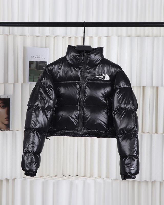 North Face Winter Warm Coat