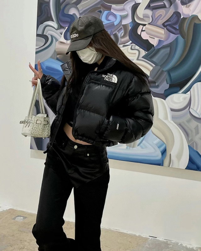 North Face Winter Warm Coat