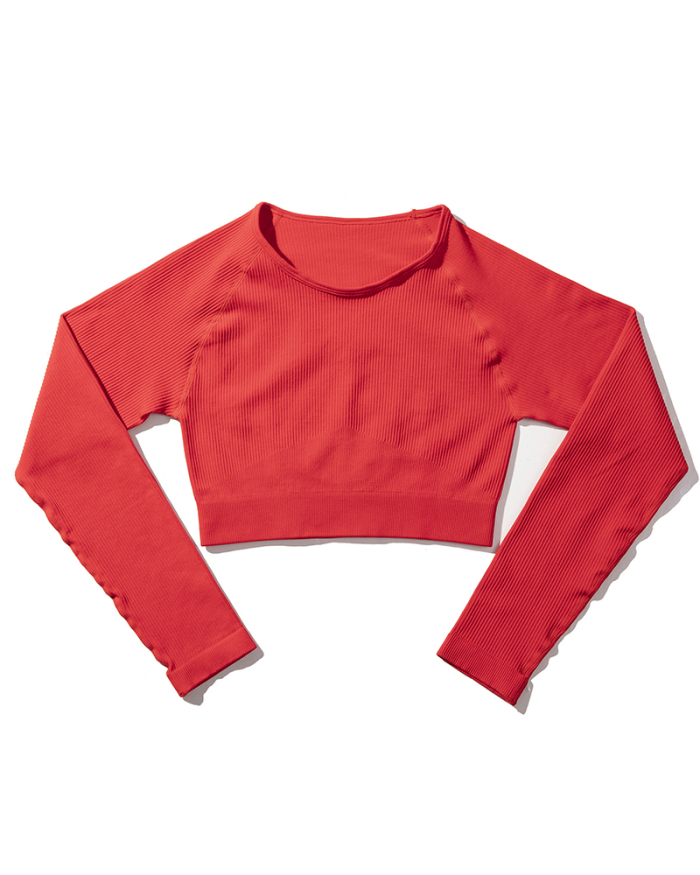 Long Sleeve O Neck Solid Color Women Sports Top S-L