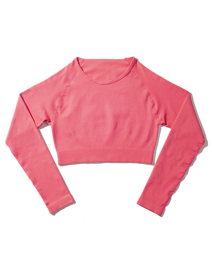 Long Sleeve O Neck Solid Color Women Sports Top S-L