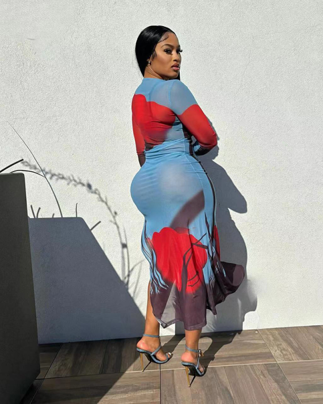 Long Sleeve Mesh Women Printed Dress S-XL