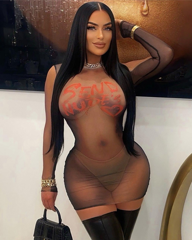 Long Sleeve Mesh See Through Dress S-L