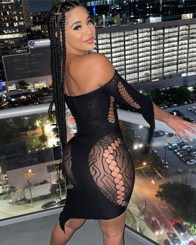 Summer Women's Sexy Long Sleeve Low Neck Hollow Out High Waist Irregular Lace Dress White Black Rosy Purple One Size