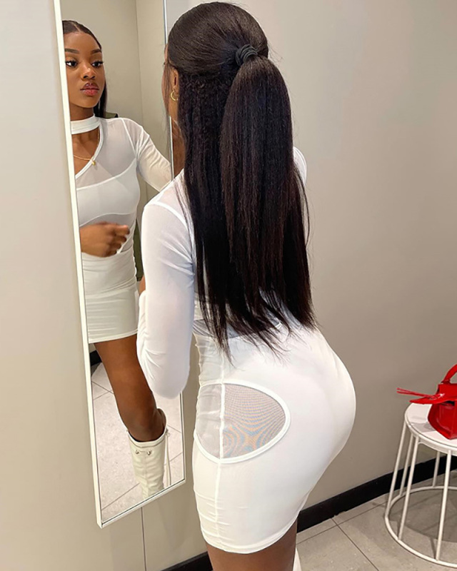 Long Sleeve Mesh Women Slim Causal Dress S-L